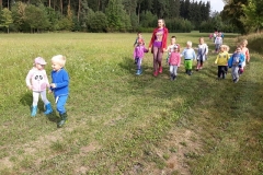 IMG-20180906-WA0017